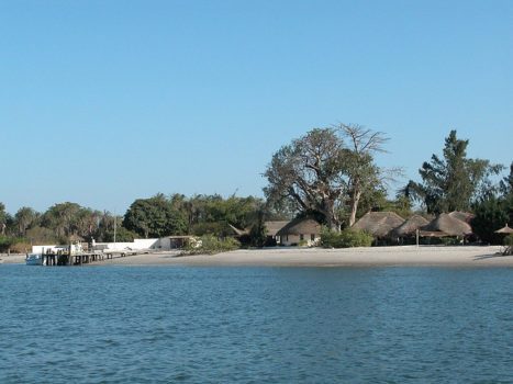 Le Saloum Cherche Un Nouveau Buur