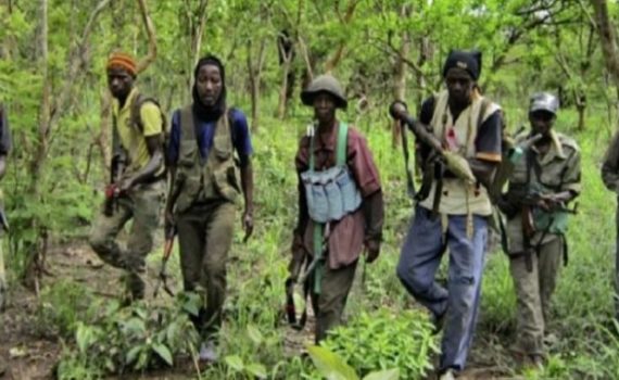 Halte à La Chasse Aux Sorcières En Casamance