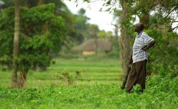 Pour La Paix Et Le Développement De La Casamance