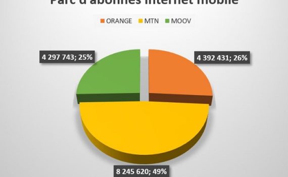 Citoyenneté Numérique Responsable Pour Préserver La Liberté D’expression En Ligne En Période électorale