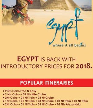 Egypt Is Back !