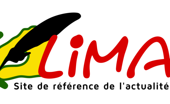 Emergence Économique Et Politique Culturelle : L’exemple Du SÉnÉgal