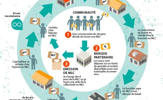A Propos Des Monnaies ComplÉmentaires Locales