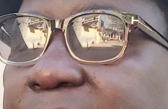 Quand L’uemoa Et  La  Cedeao Veulent Réinstaller Le Chaos Au Mali (wagane Faye)