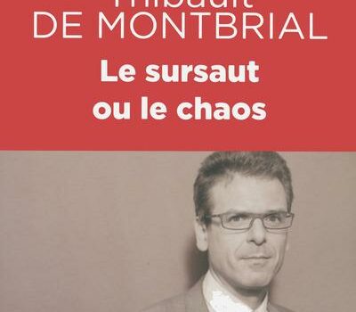 C’est Le Sursaut Ou Le Chaos ! (opinion)