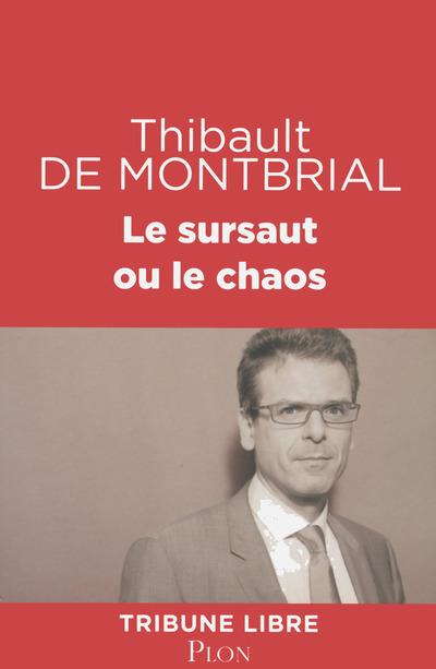 C’est Le Sursaut Ou Le Chaos ! (opinion)