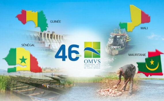 Omvs : Anniversaire Des 50 Ans D’existence Et AprÈs ?