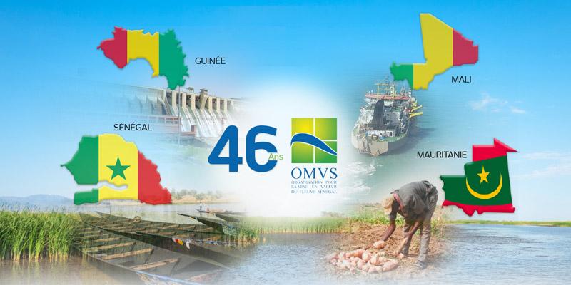 Omvs : Anniversaire Des 50 Ans D’existence Et AprÈs ?