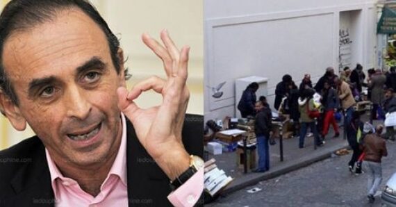 M. Zemmour! La France Appartient Aux Descendants Des Tirailleurs SÉnÉgalais!