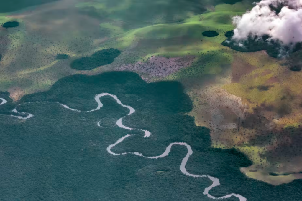 La LittÉrature Du Bassin Du Congo Offre Des Pistes Pour Faire Face À La Crise Climatique