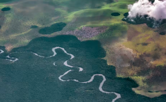 La LittÉrature Du Bassin Du Congo Offre Des Pistes Pour Faire Face À La Crise Climatique