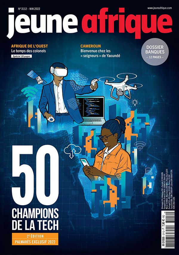 NÉpotisme Et DÉmocratie En Afrique, Pouvoirs Sexuellement Transmissibles