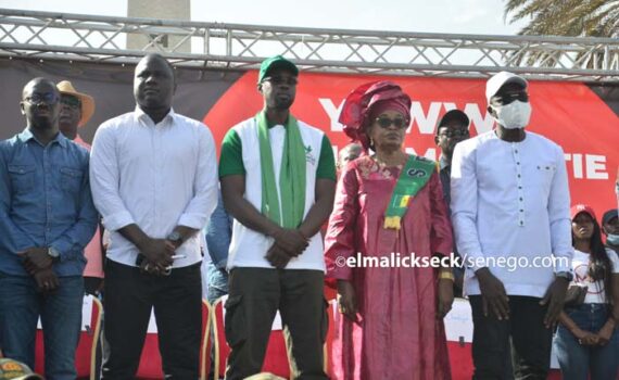 Il Faut Arrêter Cette Tragédie ! (par Ibrahima Baba Sall)