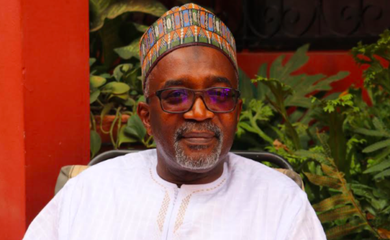 Leurres Et Lueurs D’une DÉmocratie Perfectible