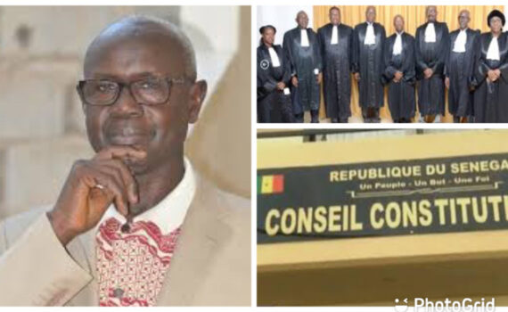 «que Faire, AprÈs Cette DÉcision Attendue Du Conseil Constitutionnel ?»