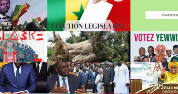 DÉraciner Le Baobab Benno