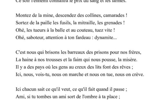 Le Vol Noir Des Corbeaux Sur Nos Plaines