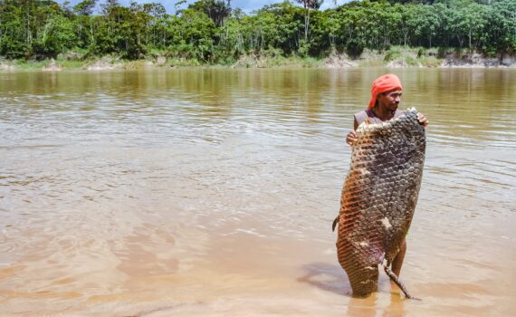 Plus D’un Tiers De L’humanitÉ DÉpend Des EspÈces Sauvages Pour Vivre