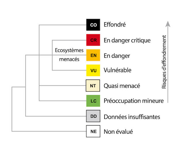 Saison Des Listes Rouges