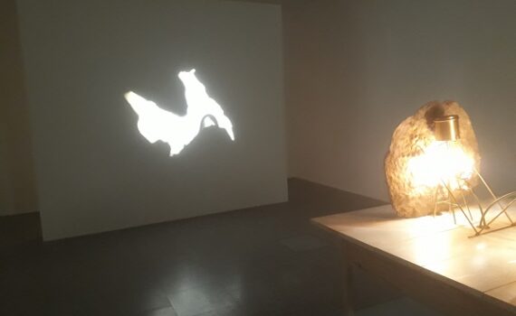 LÉgislatives, Entre Ombres Et LumiÈres