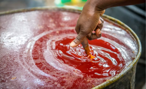 L’or Rouge : L’ascension Et La Chute De L’empire De L’huile De Palme En Afrique De L’ouest