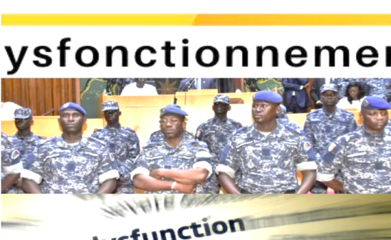 Une DÉmocratie Dysfonctionnelle