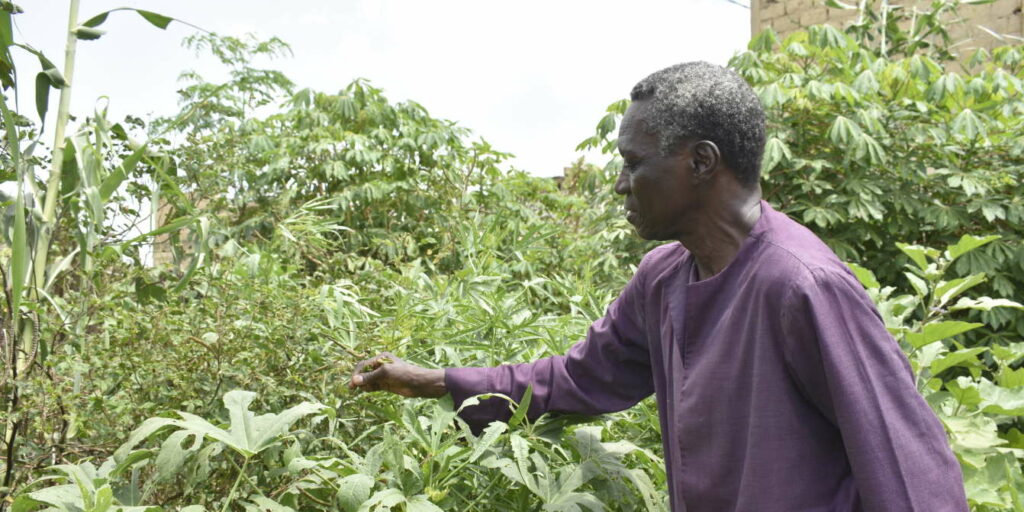 La Bataille De La Societe Civile Contre Les Ogm Est Lancee Au Senegal