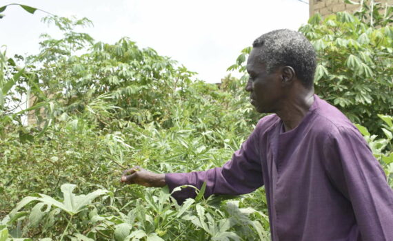 La Bataille De La Societe Civile Contre Les Ogm Est Lancee Au Senegal