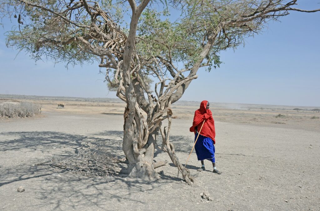 Secheresses En Afrique Et Rechauffement Climatique : Attention Aux Raccourcis !